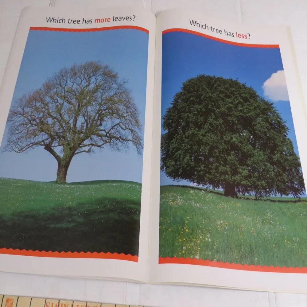 More OR Less BIG BOOK (almost 2 feet tall) with teacher pages CLASSROOM SIZE